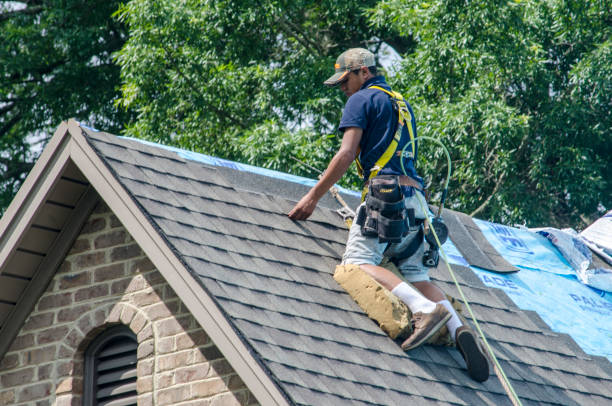 Best Roof Waterproofing Services  in Bay St Louis, MS